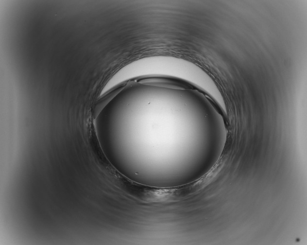 X0000094170184200711091131