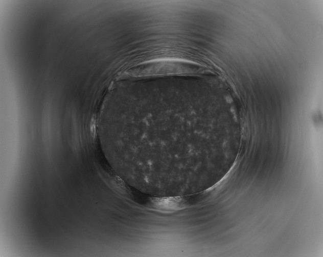 X0000094170191200711091131