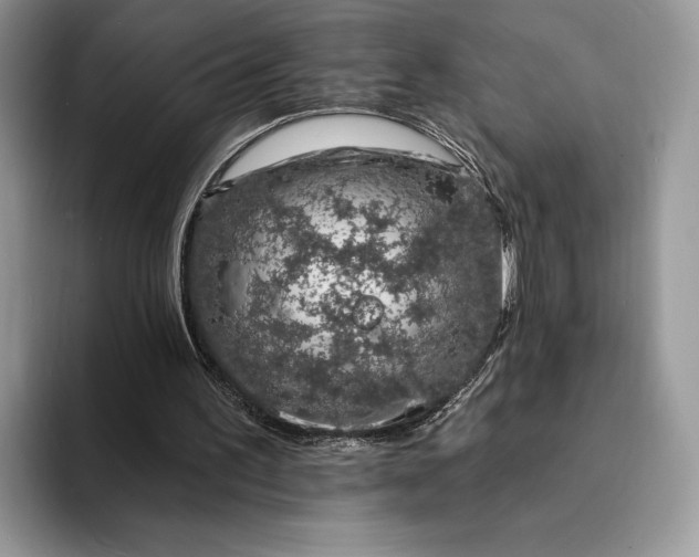 X0000094170195200711091130