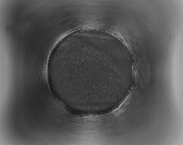 X0000094170196200711091130