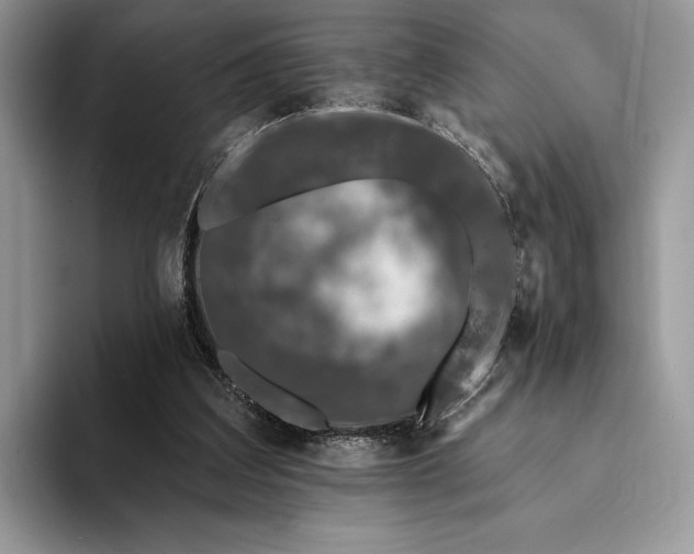 X0000094170203200711091130