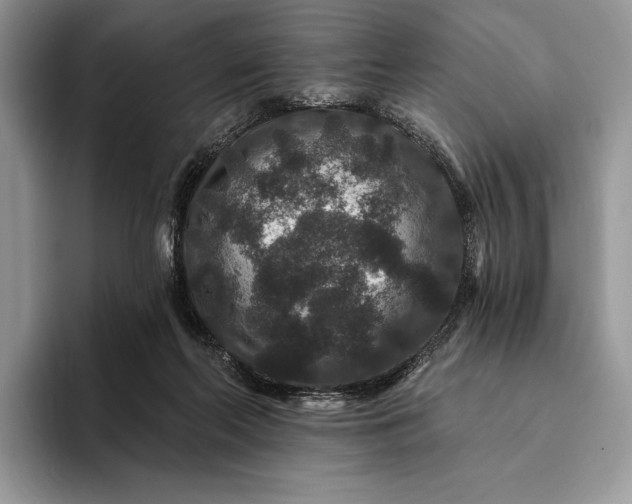 X0000094170214200711091130