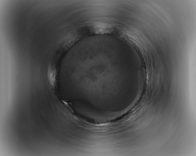 X0000094170219200711091130