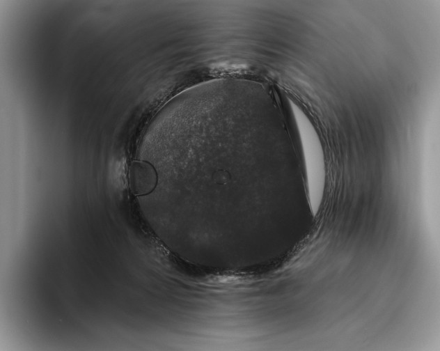 X0000094170224200711091130