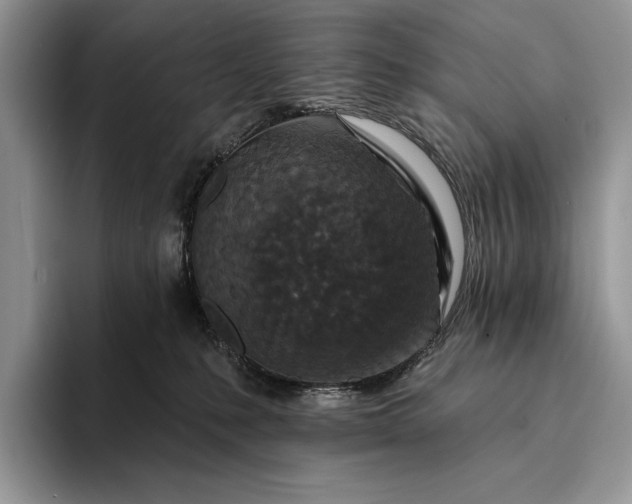 X0000094170231200711091130