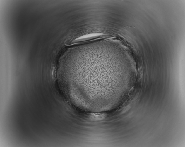 X0000094170234200711091130