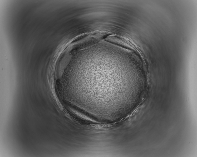X0000094170241200711091129