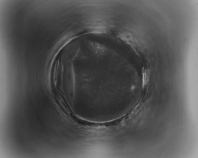X0000094170243200711091129