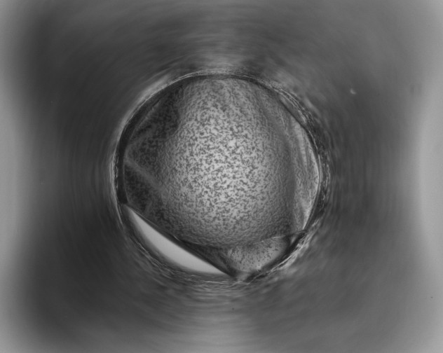 X0000094170244200711091129