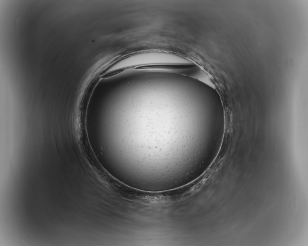 X0000094170245200711091129