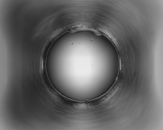 X0000094170253200711091129