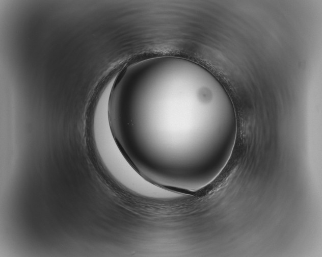 X0000094170256200711091129