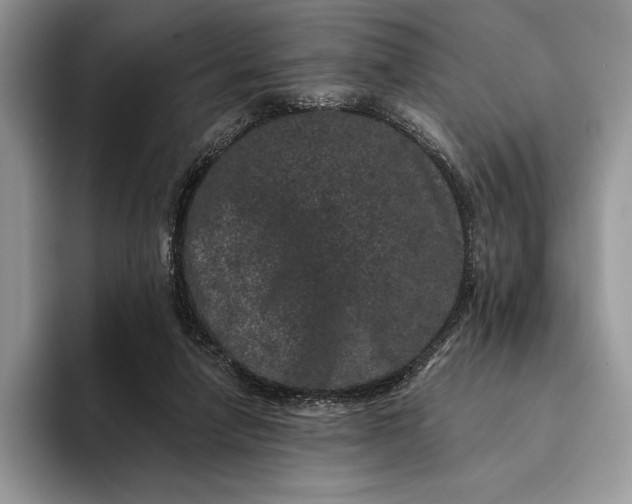X0000094170258200711091129