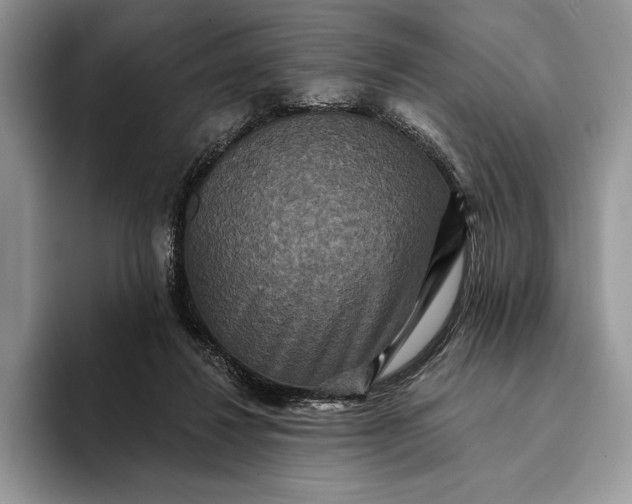X0000094170260200711091129