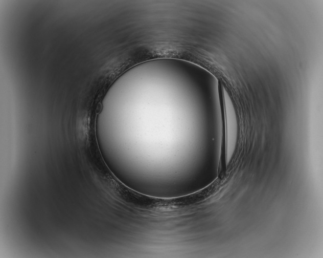 X0000094170263200711091129
