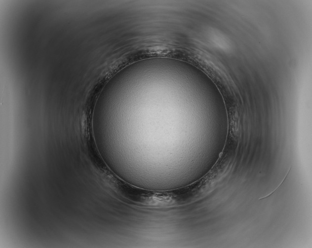 X0000094170270200711091130