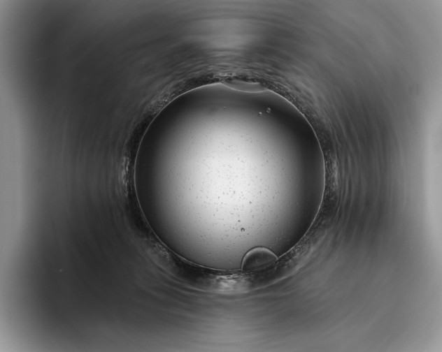 X0000094170275200711091130