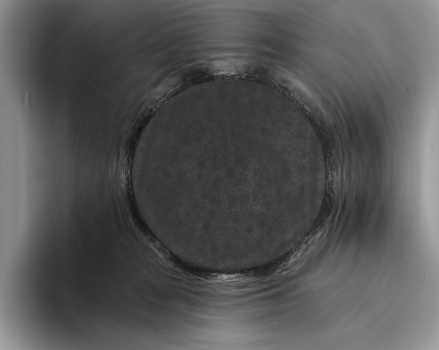 X0000094170277200711091130