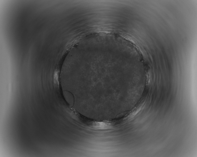 X0000094170286200711091130