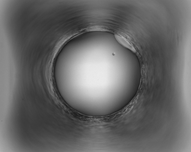 X0000094170289200711091129