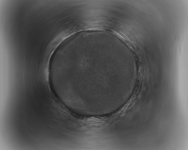 X0000094170290200711091129