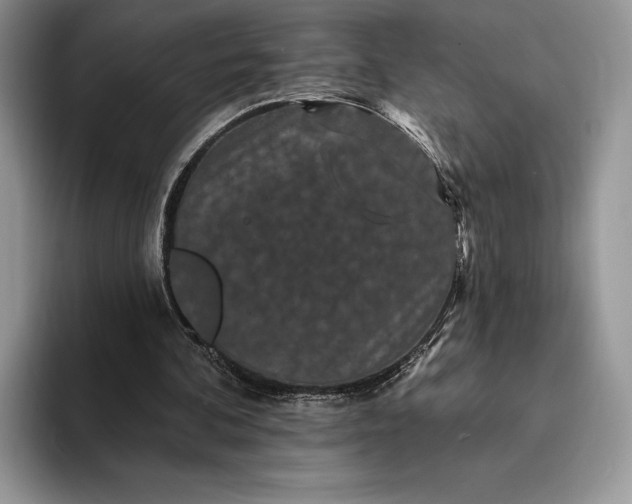 X0000094170292200711091129