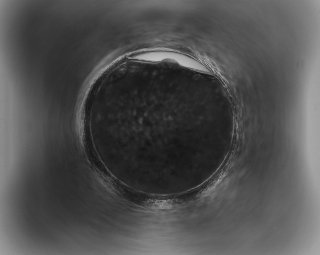 X0000094170295200711091129