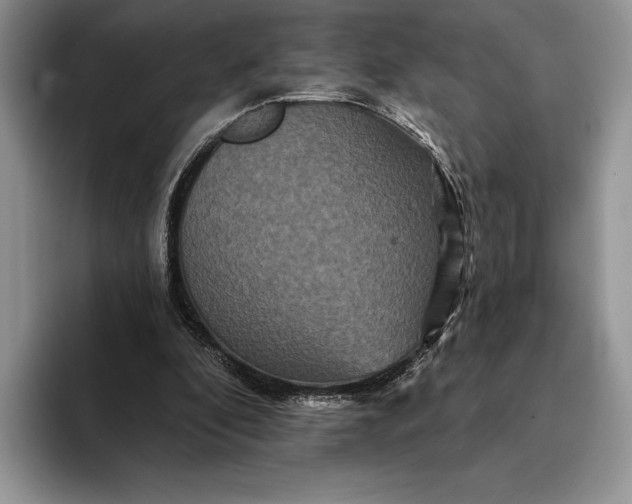 X0000094170296200711091129