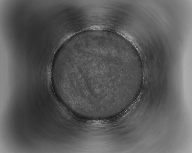 X0000094170297200711091129