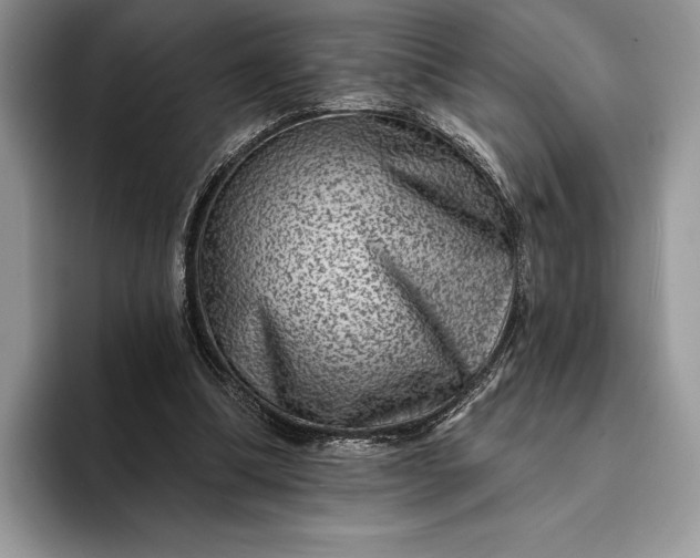 X0000094170298200711091129