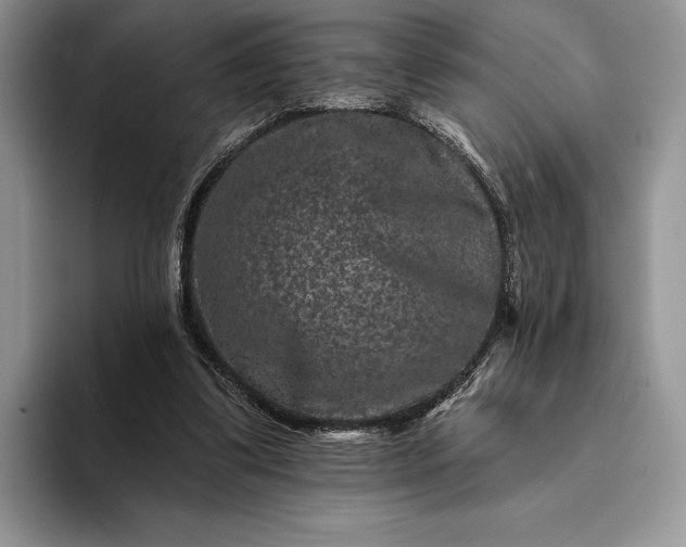 X0000094170299200711091129