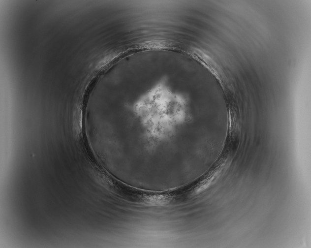 X0000094170301200711091129