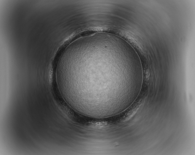 X0000094170304200711091129