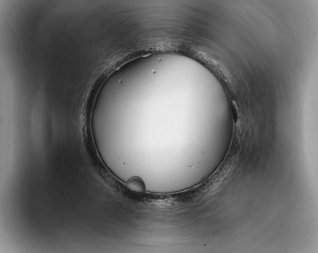 X0000094170306200711091129