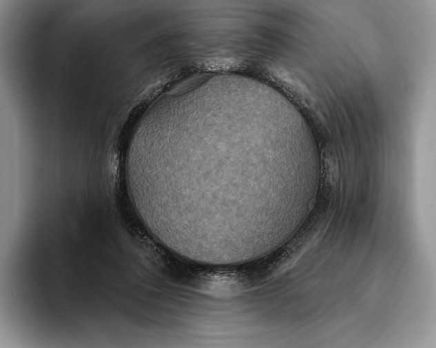 X0000094170308200711091129