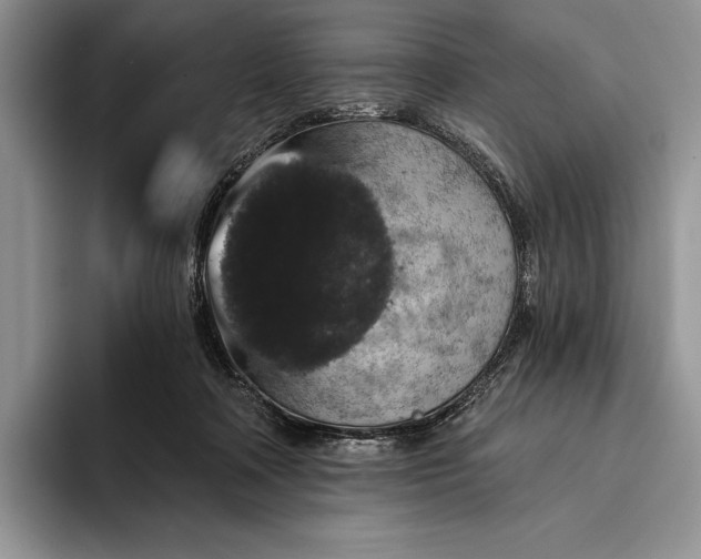 X0000094170314200711091129
