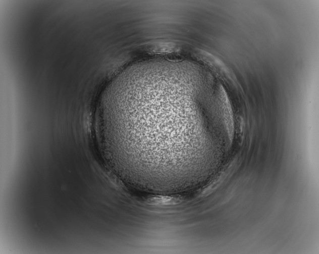 X0000094170326200711091129