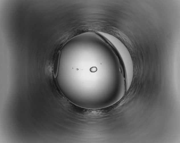 X0000094170329200711091129