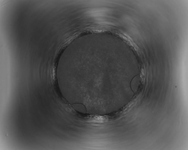 X0000094170330200711091129