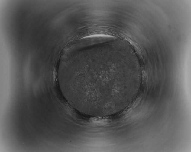 X0000094170331200711091129
