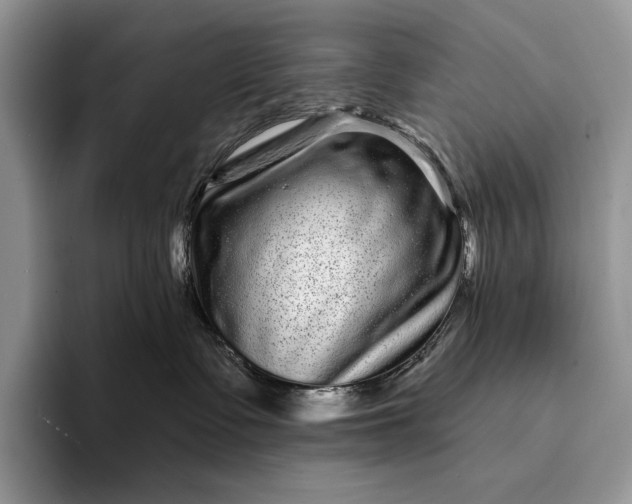X0000094170335200711091129