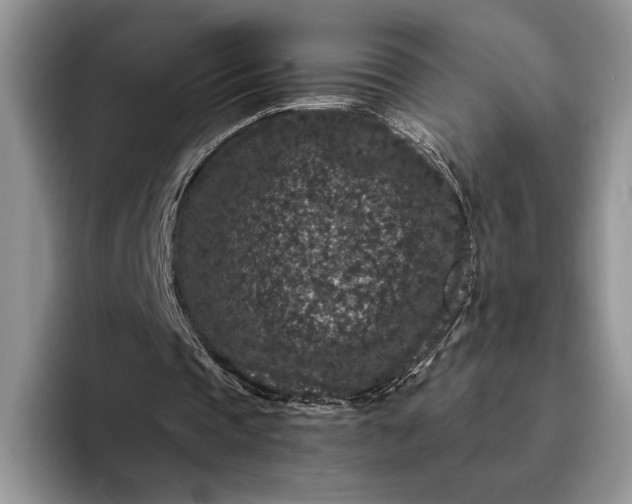 X0000094170337200711091128