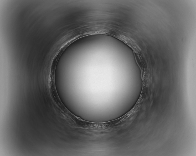 X0000094170338200711091128
