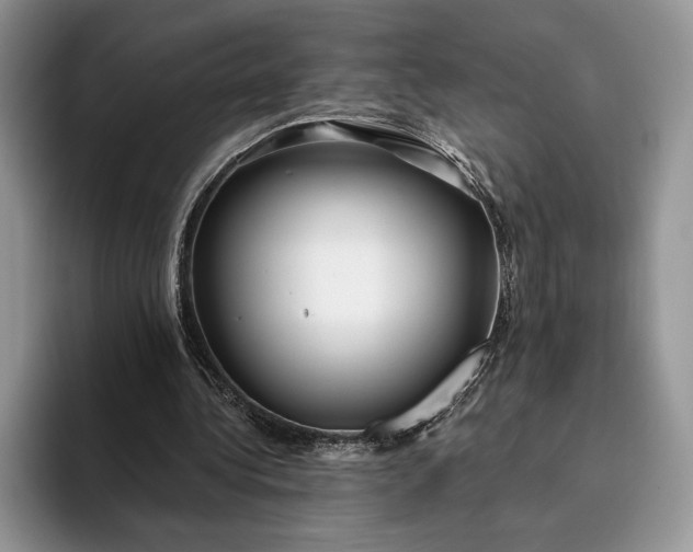 X0000094170340200711091128