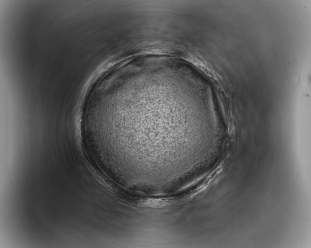 X0000094170341200711091128