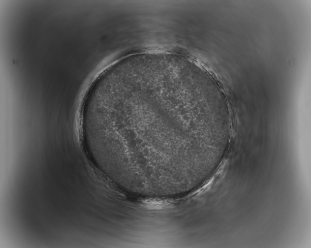 X0000094170343200711091128