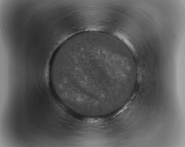 X0000094170346200711091128