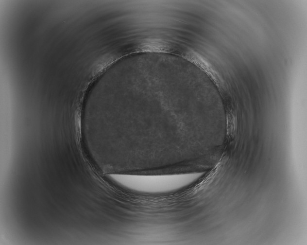 X0000094170349200711091128