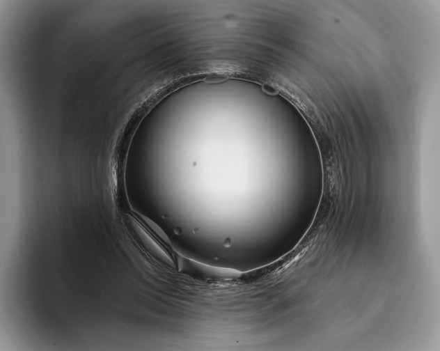 X0000094170350200711091128