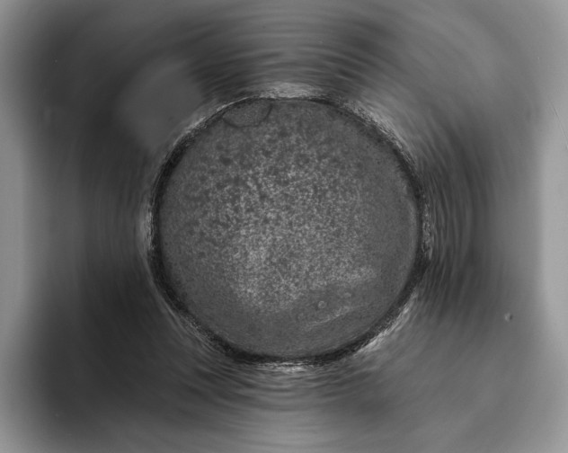 X0000094170351200711091128